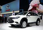 Byd Tang (2014 год): Фото 1