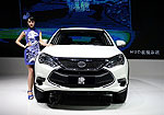 Byd Tang (2014 год): Фото 2