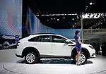 Byd Tang (2014 год): Фото 3