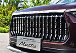 Leopaard Mattu