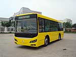 Golden Dragon 6845