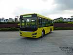 Golden Dragon 6845