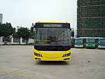 Golden Dragon 6845