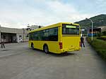 Golden Dragon 6845
