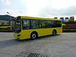 Golden Dragon 6845