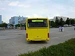 Golden Dragon 6845