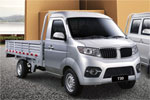 Shineray T30
