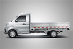 Shineray T30