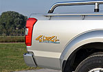 Dongfeng Rich